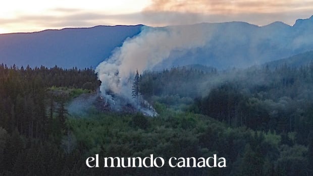 Maple Ridge Wildfire BC: Brush Fire Erupts in Forest Area Maple Ridge Wildfire BC: Brush Fire Erupts in Forest Area