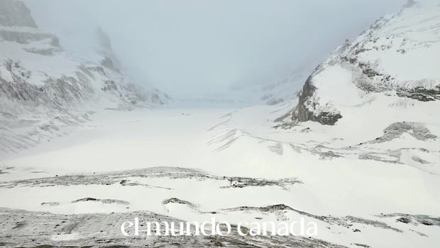 Columbia Icefield Skier Death: Parks Canada Reveals Fatal Details Columbia Icefield Skier Death: Parks Canada Reveals Fatal Details