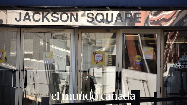 Hamilton Downtown Safety Crisis: Teen Violence Sparks Drug and Homelessness Debate Hamilton Downtown Safety Crisis: Teen Violence Sparks Drug and Homelessness Debate