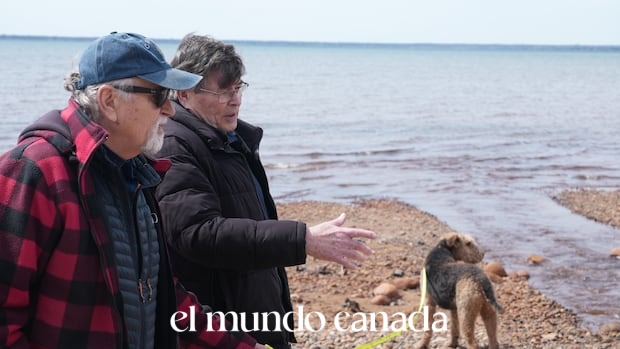 PFAS Contamination Near Sault Ste. Marie Airport Threatens Community Drinking Water PFAS Contamination Near Sault Ste. Marie Airport Threatens Community Drinking Water