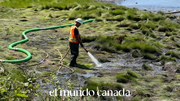 Comox Valley Sewage Leak Triggers Major Clean Up Operation Comox Valley Sewage Leak Triggers Major Clean Up Operation