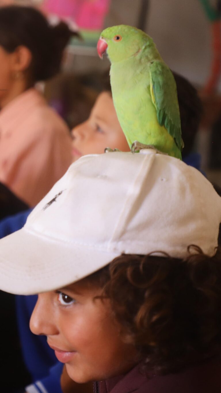 Animal Therapy Helps Gaza's Displaced Children Heal From Trauma
