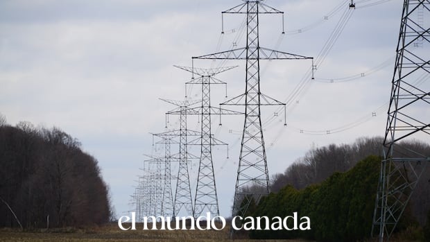 Ontario Transmission Line Project Raises Concerns Over Endangered Turtle Habitat Ontario Transmission Line Project Raises Concerns Over Endangered Turtle Habitat