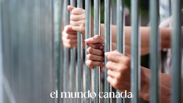 Women’s Prisons in Canada: Why Rehabilitation Falls Short Women's Prisons in Canada: Why Rehabilitation Falls Short