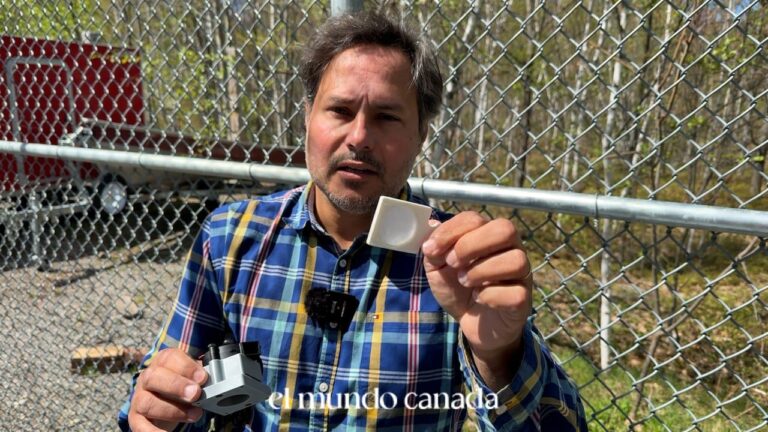 Why Laurentian University Is Using Honey Bees to Monitor Mine Regreening